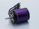 A20-6XL 10 Pole - 97800019